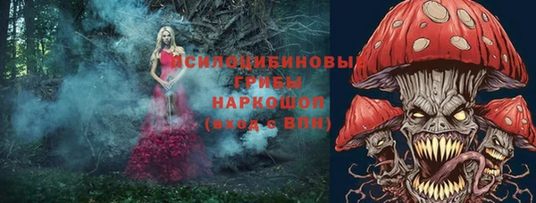 молекула духа Волосово