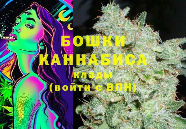молекула духа Волосово