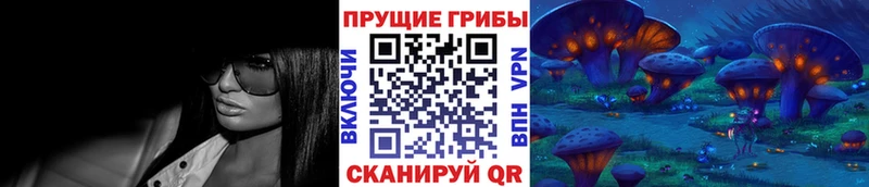 Купить где  Певек  Псилоцибиновые грибы мицелий 